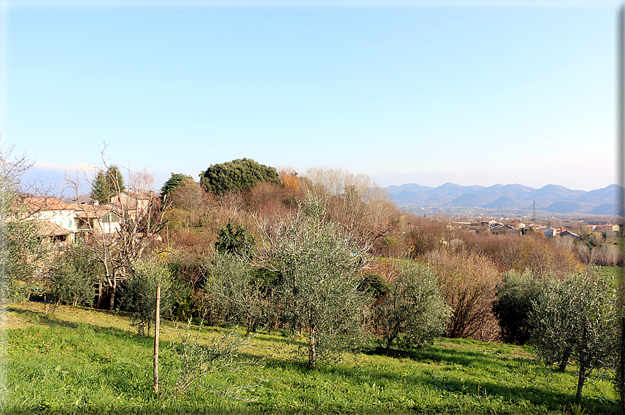 foto Sentiero degli Ezzelini